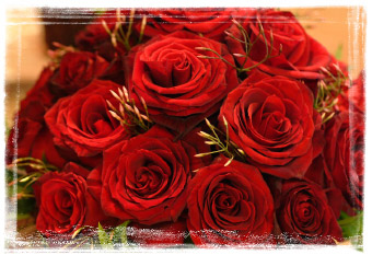 des  fleure  de   l'amour
